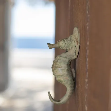 Blue Moon Mykonos Homes Appartement Agios Ioannis Diakoftis